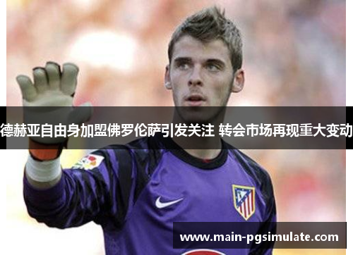 德赫亚自由身加盟佛罗伦萨引发关注 转会市场再现重大变动