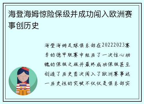 海登海姆惊险保级并成功闯入欧洲赛事创历史